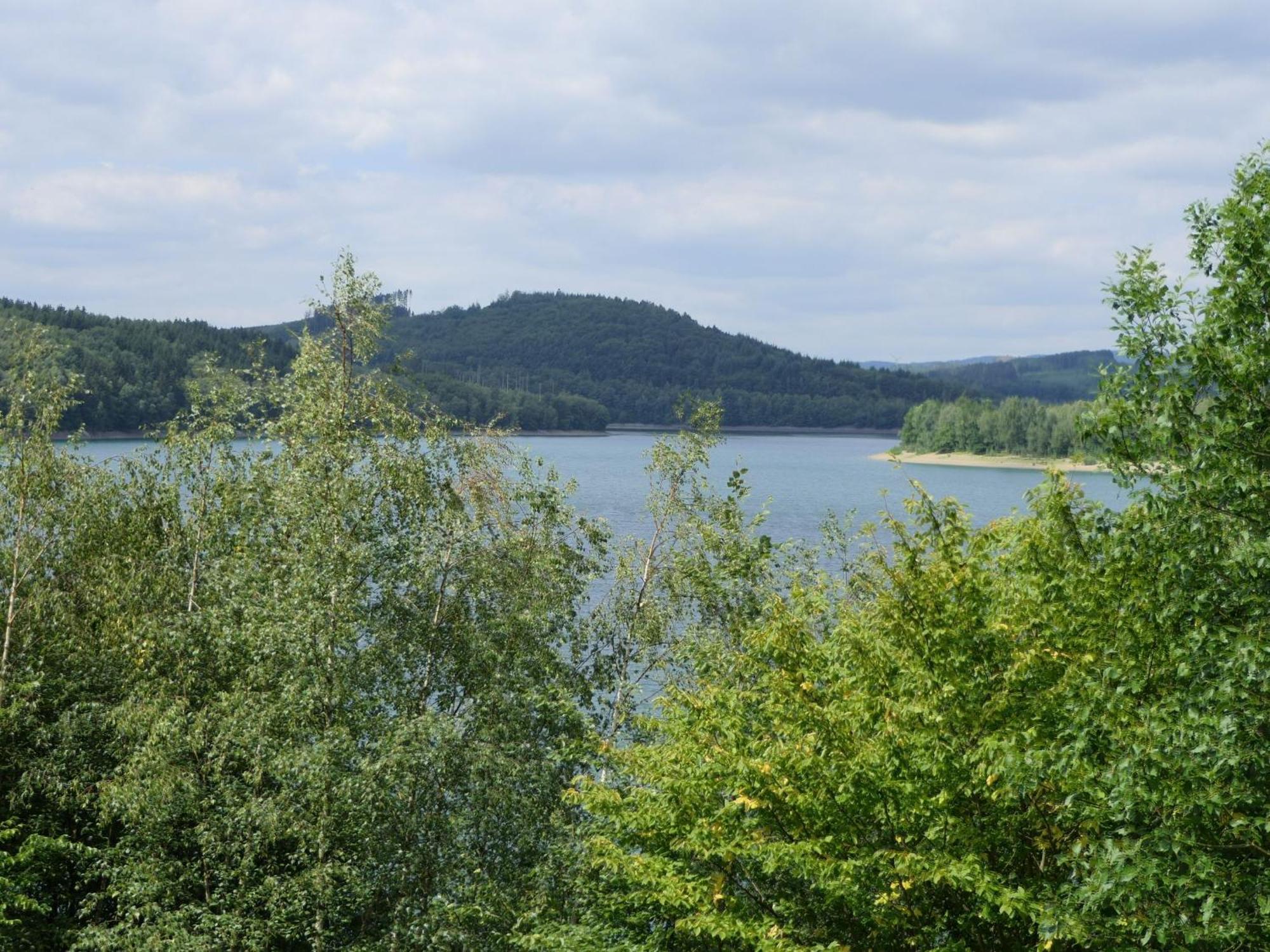Fewo-Rosenberger-Sauerland Леннештадт Екстер'єр фото